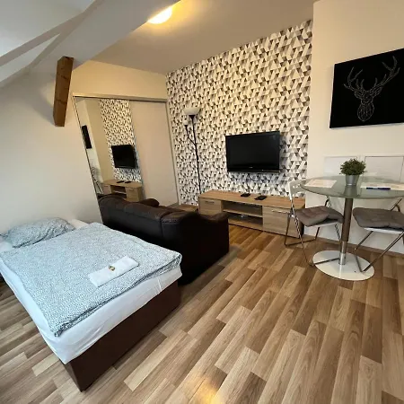 Apartmany Skryjova Brünn Exterior foto