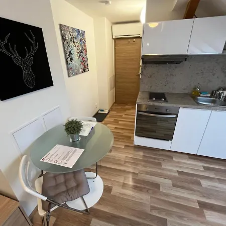 Apartmany Skryjova Brünn Exterior foto