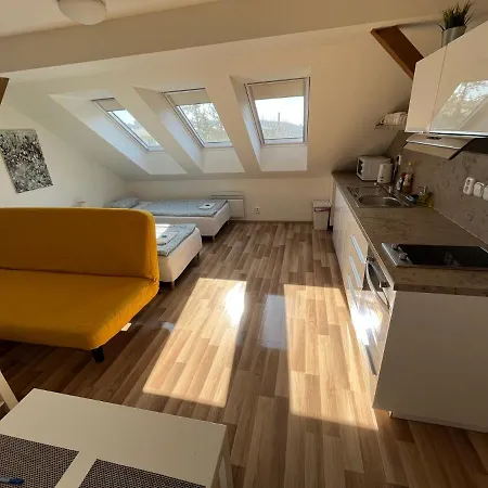 Apartmany Skryjova Brünn Exterior foto