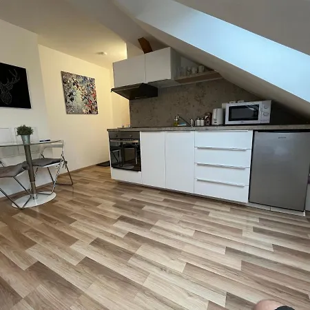 Apartmany Skryjova Brünn Exterior foto