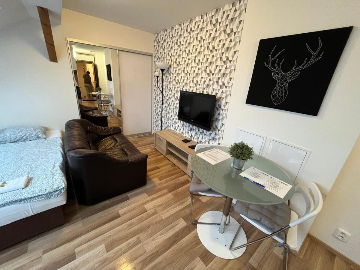 Skryjova Apartment *