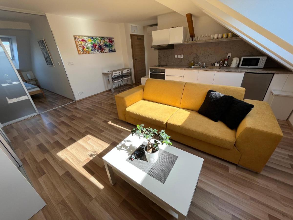 Apartment Skryjova *