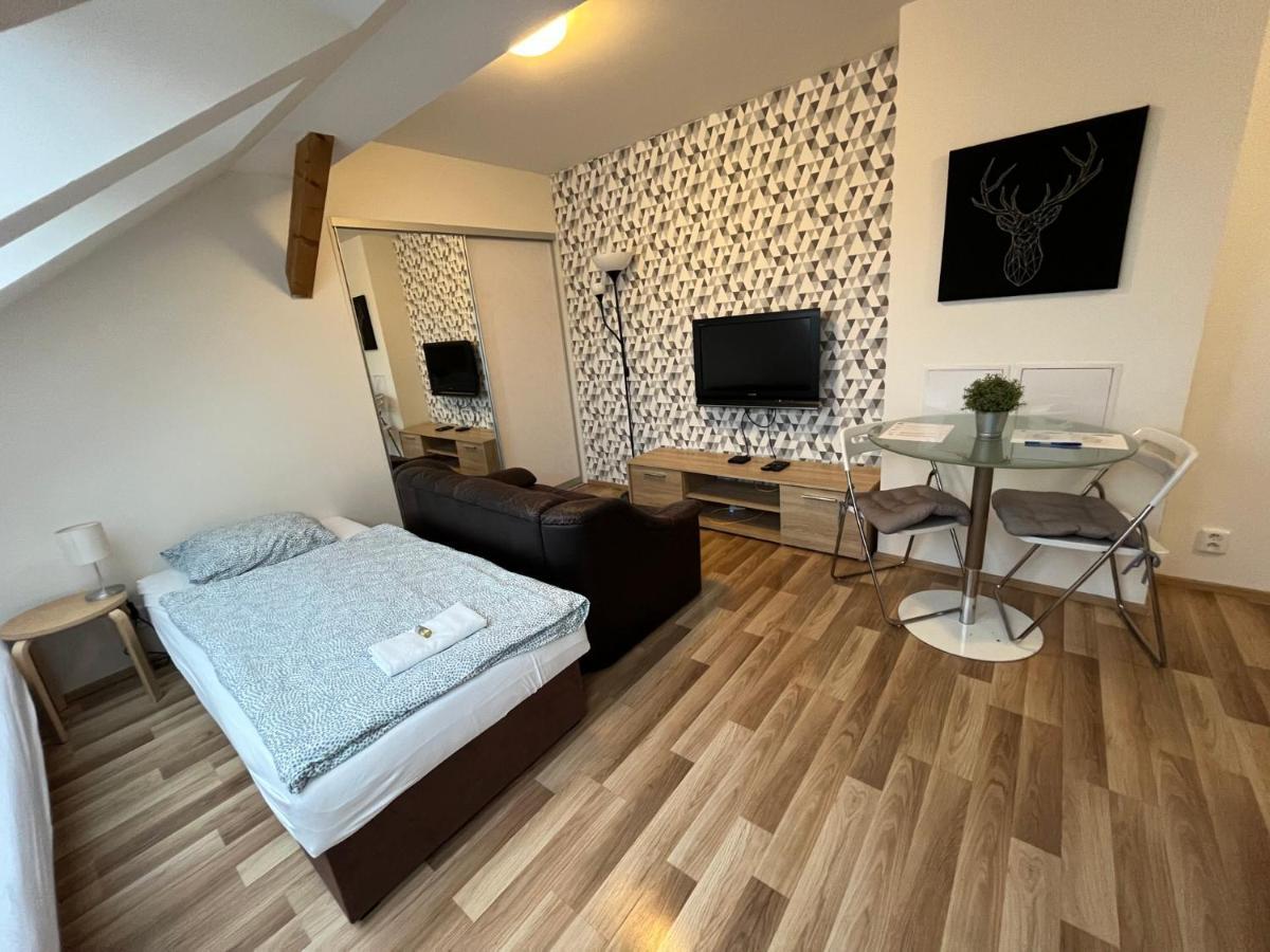 Apartment Skryjova *