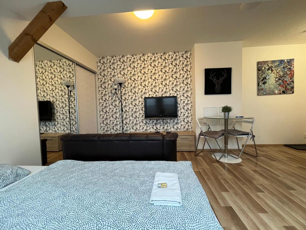 Apartment Skryjova Brünn