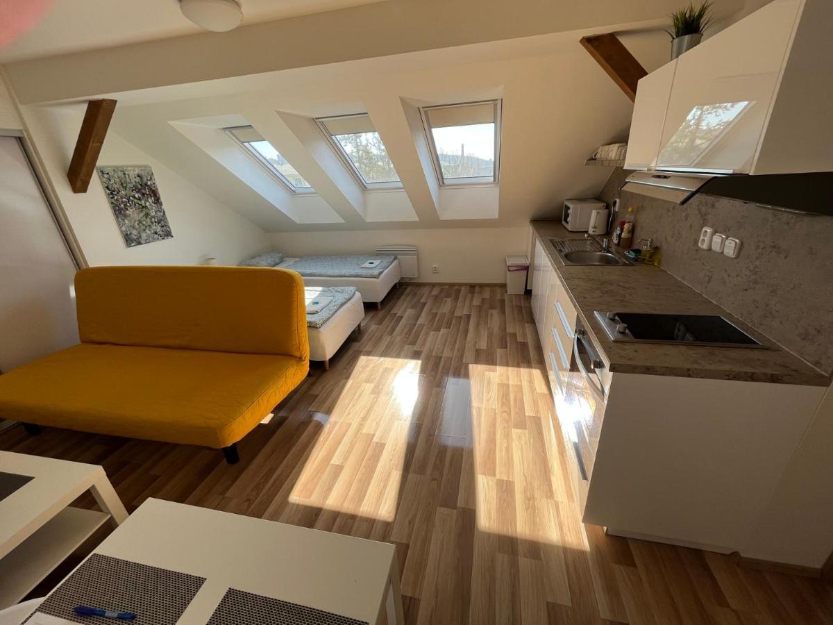Apartment Skryjova Brünn