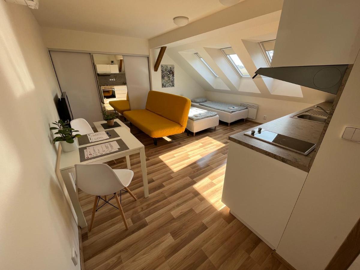 Apartment Skryjova *