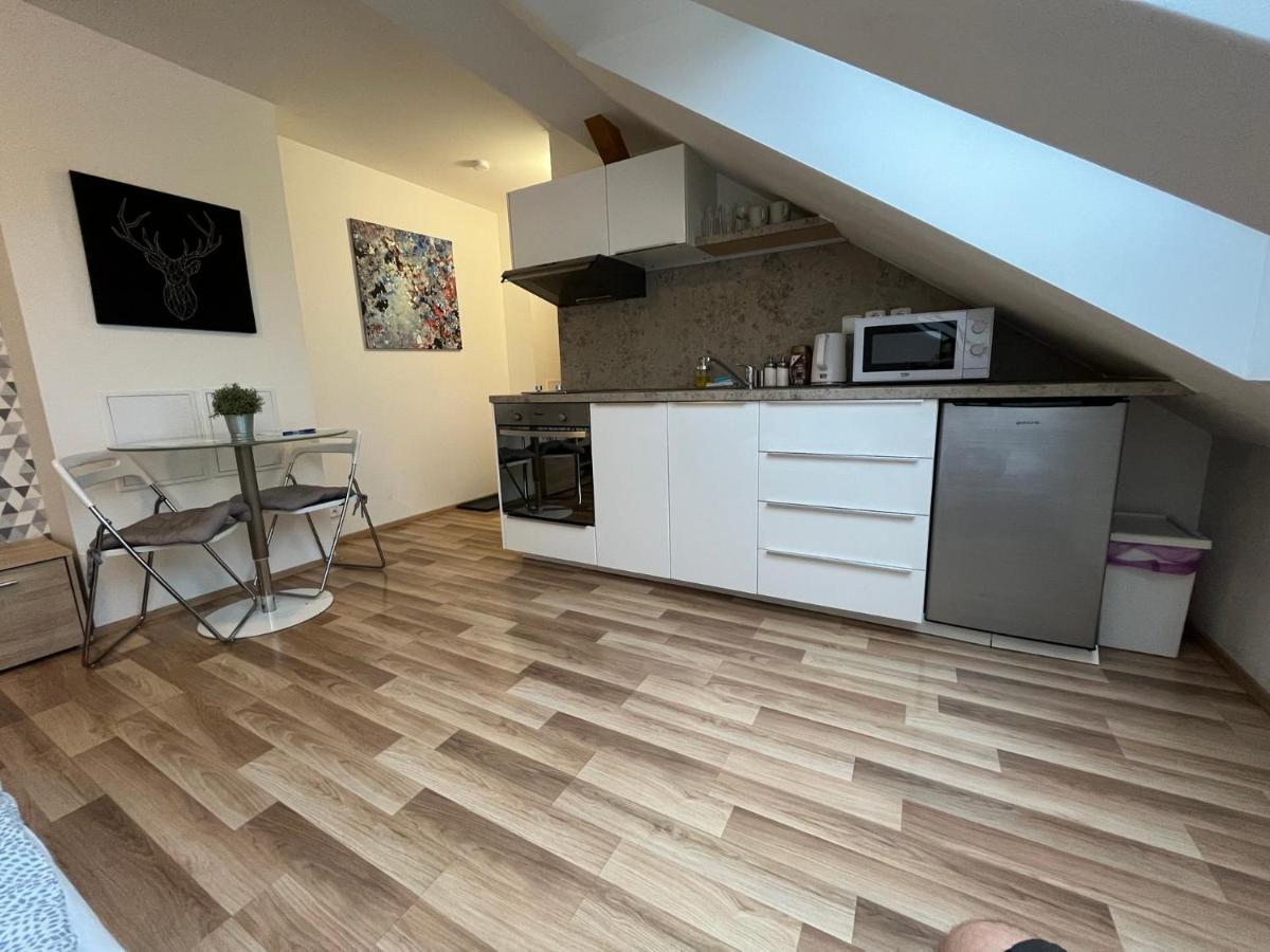 Apartment Skryjova *